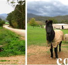 Emerald Park Holiday Farm - Accommodation in Surfers Paradise