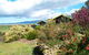 Black Cockatoo Cottages - thumb 0