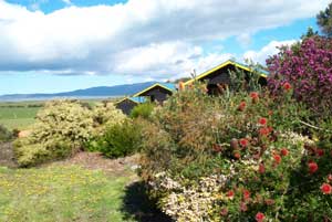 Black Cockatoo Cottages - Accommodation in Surfers Paradise 0