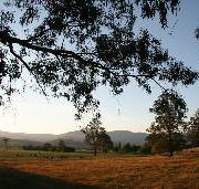Cann River Rainforest Caravan Park - Accommodation in Surfers Paradise