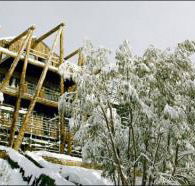 Silverski - Accommodation in Surfers Paradise