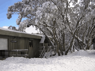Mulligatawny Ski Club - Accommodation in Surfers Paradise