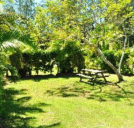Wooli Caravan Park - Accommodation in Surfers Paradise