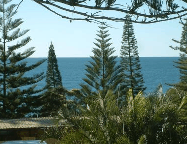 Next Seabreeze Beach Hotel - Accommodation in Surfers Paradise 2