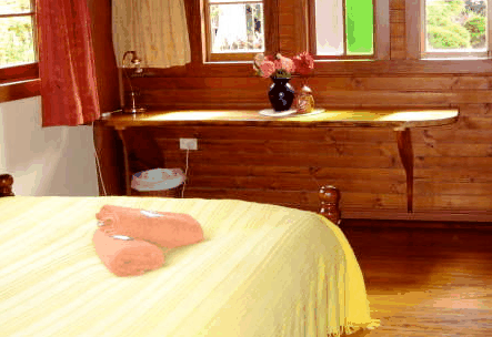 Nimbin Holiday Accommodation & Guest House - Accommodation in Surfers Paradise 5