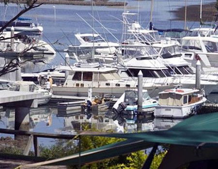 Soldiers Point Holiday Park - Accommodation in Surfers Paradise 3