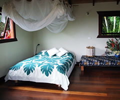 Coorabell ACT Accommodation in Surfers Paradise