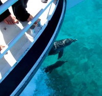 Pelican Charters - Accommodation in Surfers Paradise