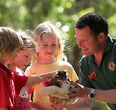 Cleland Wildlife Park - Accommodation in Surfers Paradise