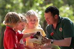 Cleland Wildlife Park - Accommodation in Surfers Paradise 0