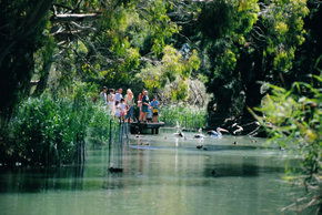 Cleland Wildlife Park - Accommodation in Surfers Paradise 1