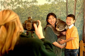 Cleland Wildlife Park - Accommodation in Surfers Paradise 2