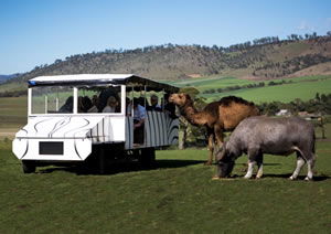 Zoo Doo Wildlife Park - Accommodation in Surfers Paradise 2