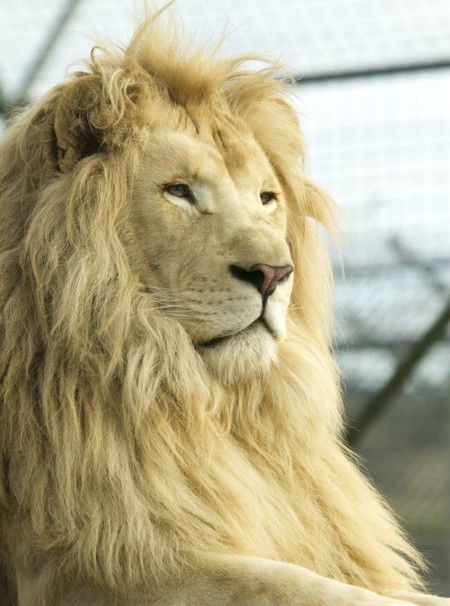 Zoo Doo Wildlife Park - Accommodation in Surfers Paradise 3