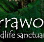 Warrawong Wildlife Park - Accommodation in Surfers Paradise