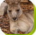 Calmsley Hill City Farm - Accommodation in Surfers Paradise