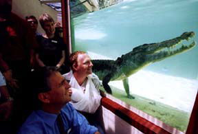 Alice Springs Reptile Centre - Accommodation in Surfers Paradise 1
