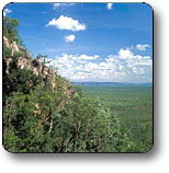 Kakadu National Park - Accommodation in Surfers Paradise 2