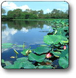 Kakadu National Park - Accommodation in Surfers Paradise 3