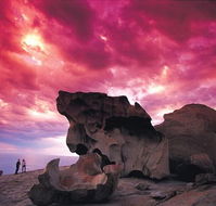 Kangaroo Island Adventure Tour 2 day/1 night - Accommodation in Surfers Paradise
