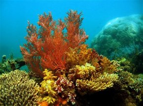  Accommodation in Surfers Paradise