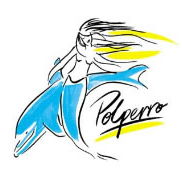 Polperro Dolphin Swims - Accommodation in Surfers Paradise