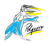 Polperro Dolphin Swims - Accommodation in Surfers Paradise 0