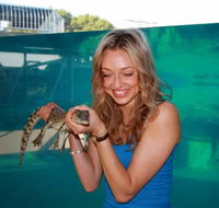 Crocosaurus Cove - Accommodation in Surfers Paradise
