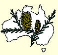 Australian National Botanic Gardens - Accommodation in Surfers Paradise