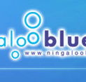 Ningaloo Blue Dive - Accommodation in Surfers Paradise