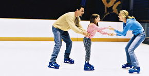 Penrith Ice Palace - Accommodation in Surfers Paradise 2