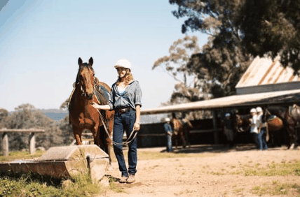 Watsons Trail Rides - Accommodation in Surfers Paradise