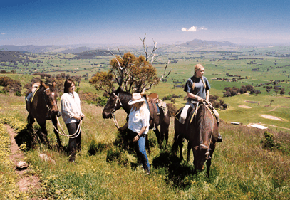 Watsons Trail Rides - Accommodation in Surfers Paradise 2