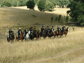 McCormacks Mountain Valley Trail Rides - Accommodation in Surfers Paradise