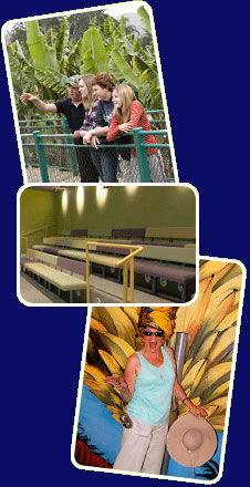 Big Banana - Accommodation in Surfers Paradise 2