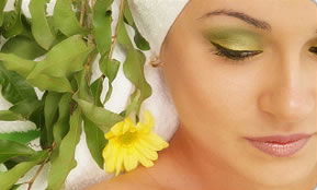 Indica Spa - Accommodation in Surfers Paradise 1