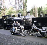 Andy's Harley Rides - Accommodation in Surfers Paradise