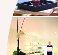 Lyall Hotel and Spa - Accommodation in Surfers Paradise