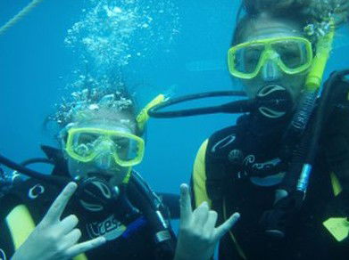 Snorkel Safari Brisbane - Accommodation in Surfers Paradise 5