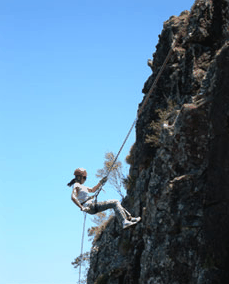 Adventures Around Brisbane - Accommodation in Surfers Paradise 1