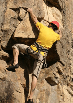 Adventures Around Brisbane - Accommodation in Surfers Paradise 3