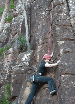 Adventures Around Brisbane - Accommodation in Surfers Paradise 4