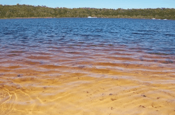 Beach Trekkers North Stradbroke Island - Accommodation in Surfers Paradise 1