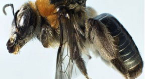 Western Australian Museum - Accommodation in Surfers Paradise 0