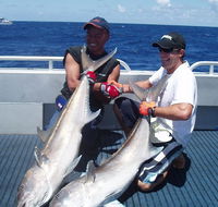 Blue Juice Charters - Accommodation in Surfers Paradise