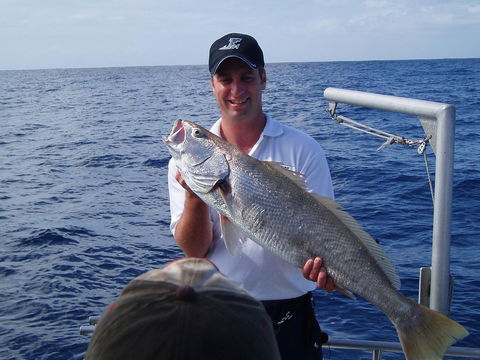 Blue Juice Charters - Accommodation in Surfers Paradise 1