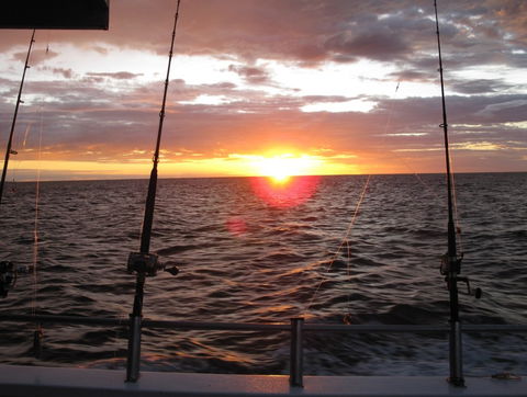 Blue Juice Charters - Accommodation in Surfers Paradise 5