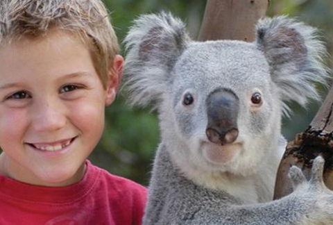 Featherdale Wildlife Park - Accommodation in Surfers Paradise 1