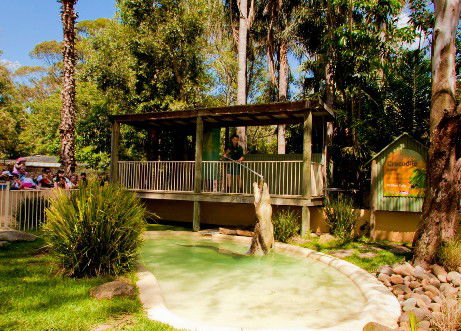 Featherdale Wildlife Park - Accommodation in Surfers Paradise 2