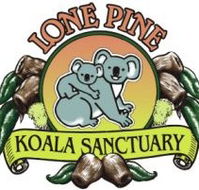 Lone Pine Koala Sanctuary - Accommodation in Surfers Paradise
